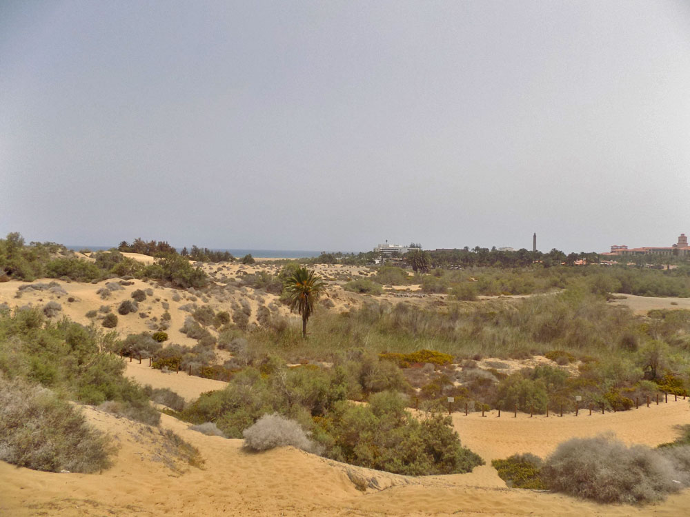 Maspalomas in den Dünen